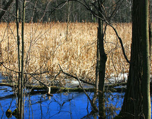 Land Conservation Versus New Farmers: The Fight for Farm Bill Funding Image